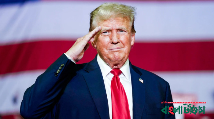 Trump wins US presidential election: US media