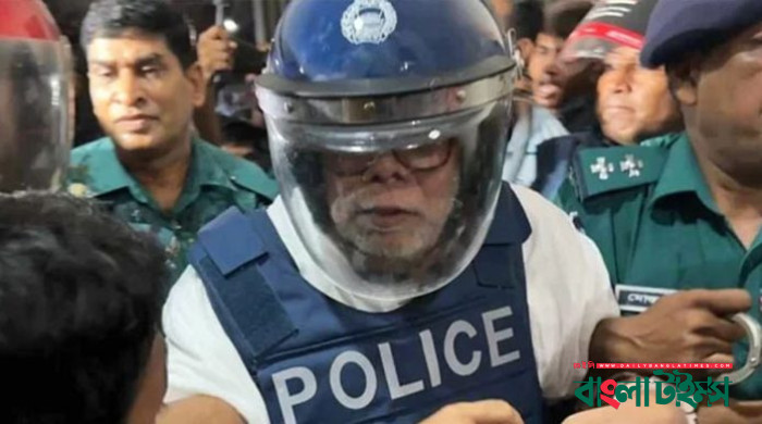 ফের রিমান্ডে সালমান এফ রহমান ও পলক