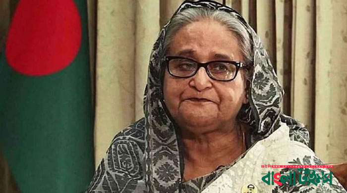 ‘হাসিনাকে ফেরাতে প্রয়োজনীয় কাগজপত্র দিল্লিকে পাঠিয়েছে ঢাকা’