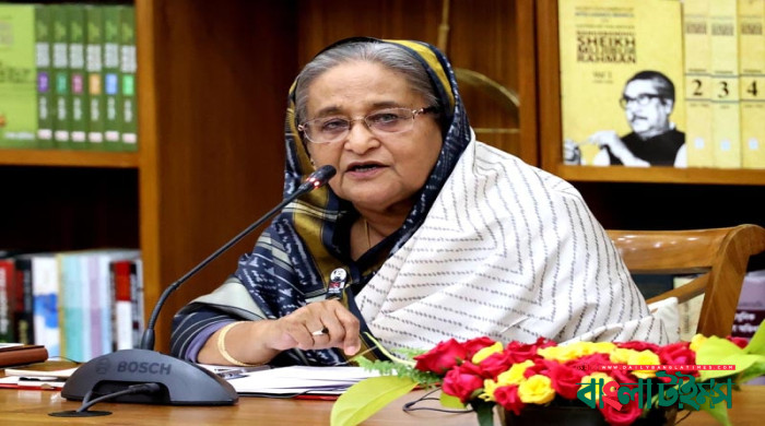 বিএনপির সঙ্গে কোনো বিদেশি শক্তি নেই: প্রধানমন্ত্রী