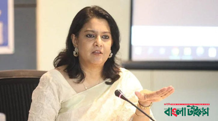 ২০২৫ সাল নাগাদ সরকারি নির্মাণে পোড়া ইট ব্যবহার বন্ধ হবে : উপদেষ্টা রিজওয়ানা