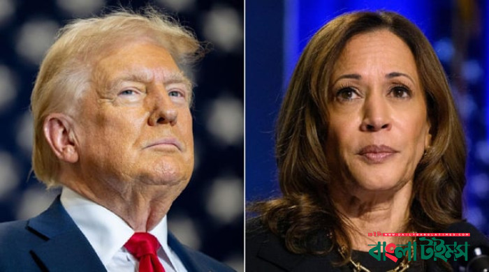 President-elect Trump at 276 electoral votes, Harris at 219: US media