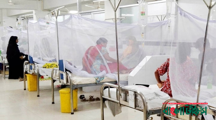 ২৪ ঘণ্টায় ডেঙ্গুতে আক্রান্ত হয়ে ১৯ জনের মৃত্যু