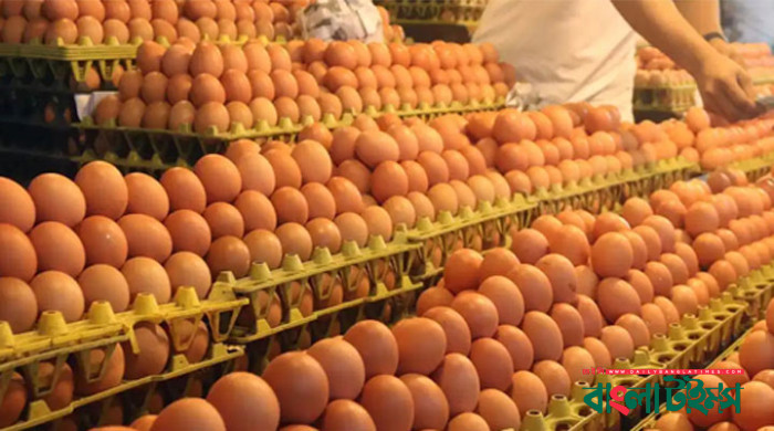 আরও ৬ কোটি ডিম আমদানির অনুমতি