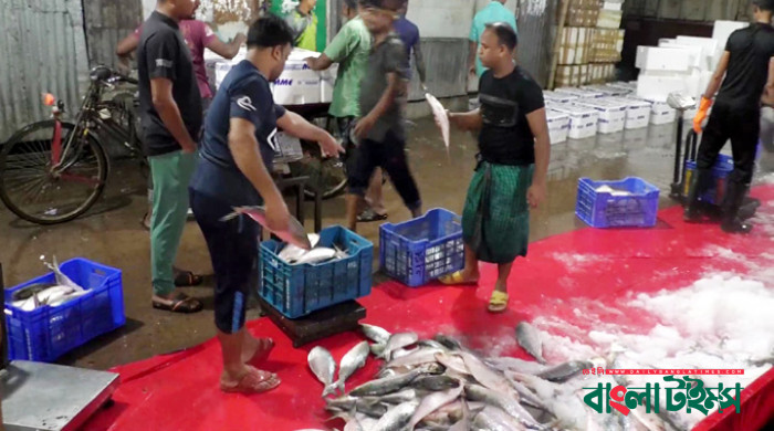 দ্বিতীয় দফায় ভারতে গেল ১০ টন ইলিশ