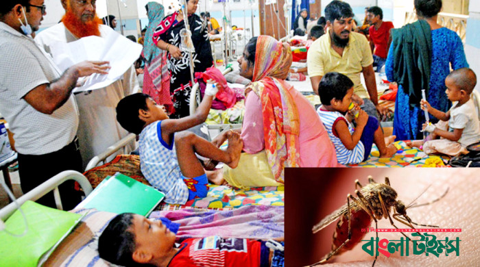 ডেঙ্গুতে প্রাণ গেল আরও ৯ জনের