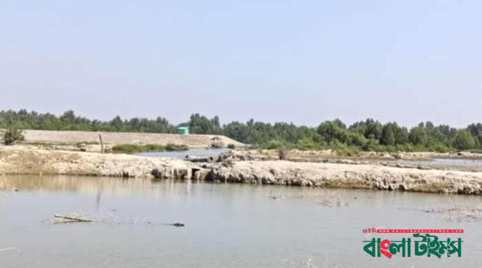 এখনও ভেসে আসছে গুলি-মর্টার শেলের আওয়াজ