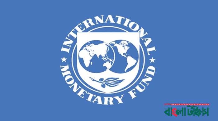 বিদ্যুৎ-গ্যাস-সারের দাম বাড়ানোর সুপারিশ আইএমএফ’র