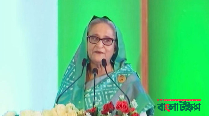 আমরা ভাত নিশ্চিত করতে পেরেছি: প্রধানমন্ত্রী