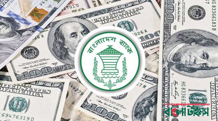 ডলার সংকটে ঈদের মাসে কমেছে রেমিট্যান্স