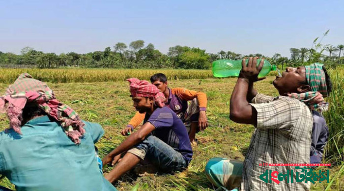সারাদেশে হিট স্ট্রোকে ৫ জনের মৃত্যু