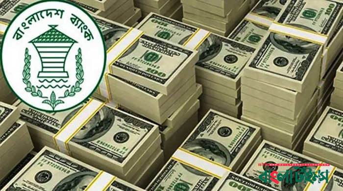 বৈদেশিক মুদ্রার রিজার্ভ এক মাসে বাড়ল ২৪ কোটি ডলার