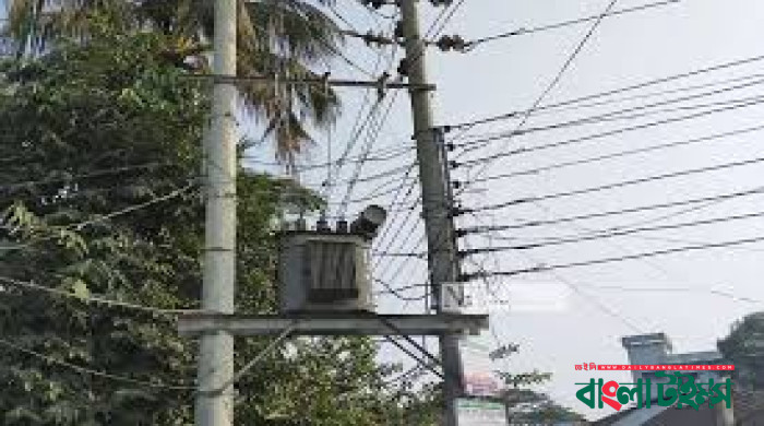 ভোট না দেওয়ায় বিএনপি নেতাদের বাড়ির বিদ্যুৎ–সংযোগ কাটার অভিযোগ