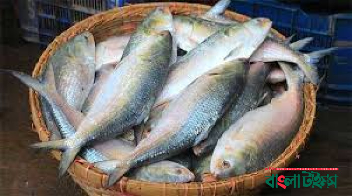 ৫৮ দিন ইলিশ ধরা ও বিক্রি বন্ধ রাখার নির্দেশ