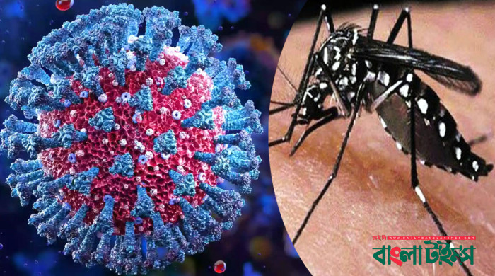 করোনা ও ডেঙ্গু রোধে শিক্ষাপ্রতিষ্ঠানে জরুরি নির্দেশনা