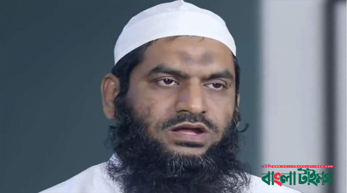 আপিল বিভাগ থেকে জামিন পেলেন মামুনুল হক