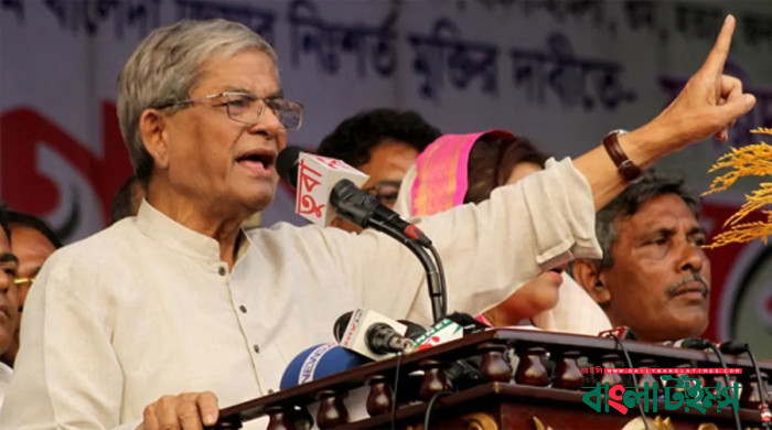 প্রতিবেশী দেশের দাদাগিরির কোনো সুযোগ নেই: মির্জা ফখরুল