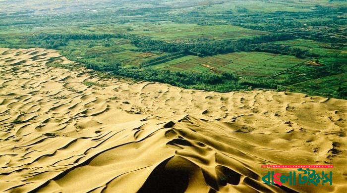 অতিবৃষ্টিতে সবুজ হচ্ছে সৌদির মরুভূমি, যা কেয়ামতের আলামত