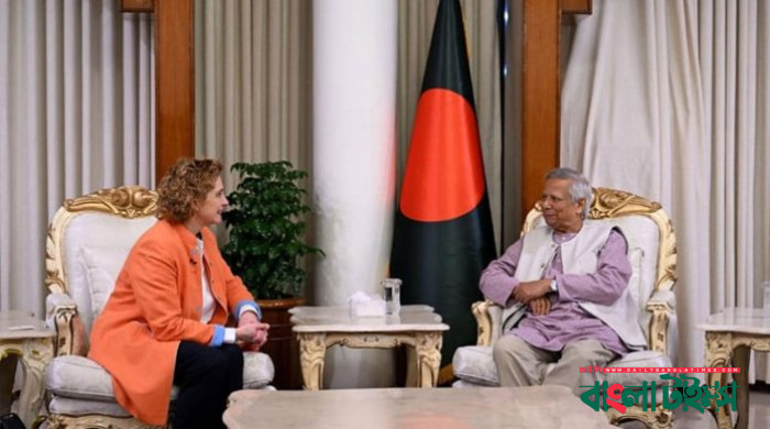 অন্তর্বর্তী সরকার নির্বাচনের প্রস্তুতি নিচ্ছে :ড. ইউনূস