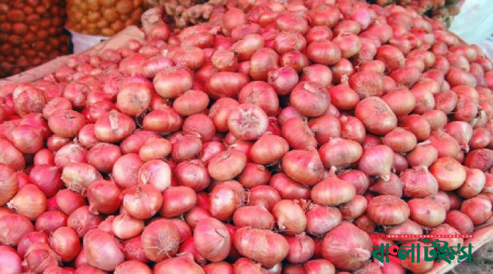 TCB fails to unload 90 tonnes of imported onions at Benapole