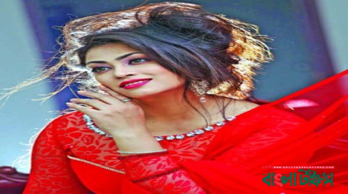 Popy to resume current projects in New Year