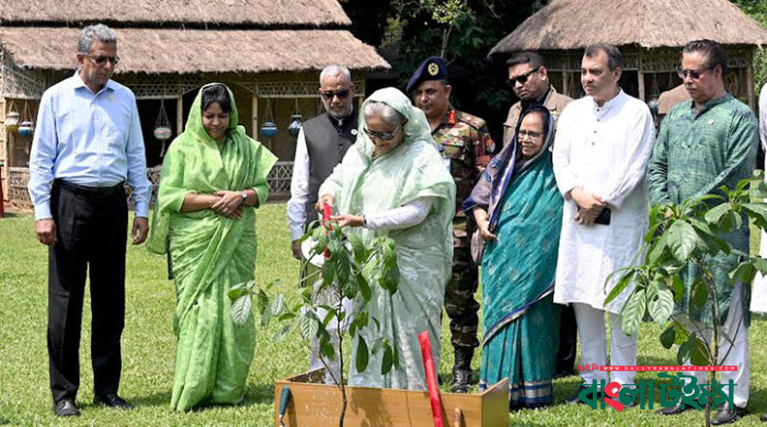 PM urges all to plant trees to tackle climate change