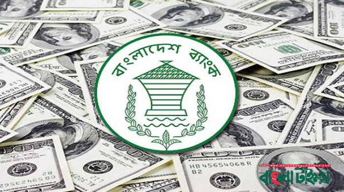 Expatriates send $156.12cr remittance in February