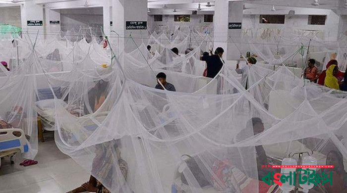 ডেঙ্গুতে আড়াই মাসেই ২০ জনের মৃত্যু