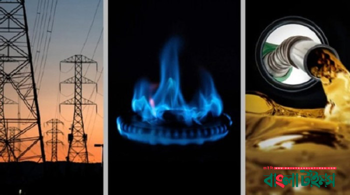আসছে বিদ্যুৎ, তেল ও গ্যাসের দাম বৃদ্ধির আদেশ