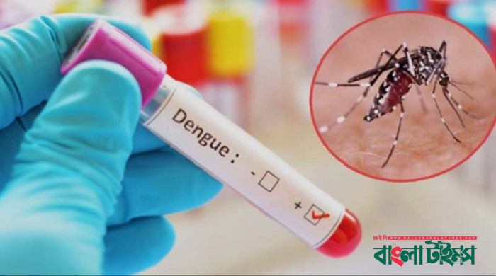 ২৪ ঘণ্টায় ডেঙ্গু কেড়ে নিল ৩ প্রাণ