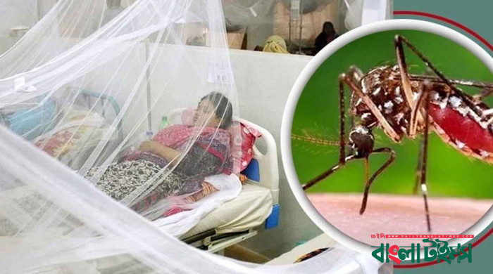 ডেঙ্গুতে এক দিনে রেকর্ড ৯ জনের মৃত্যু
