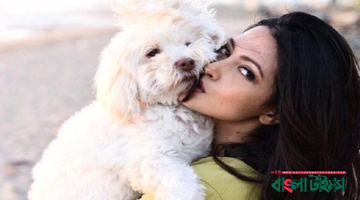 10 facts about Riya Sen you probably didn't know