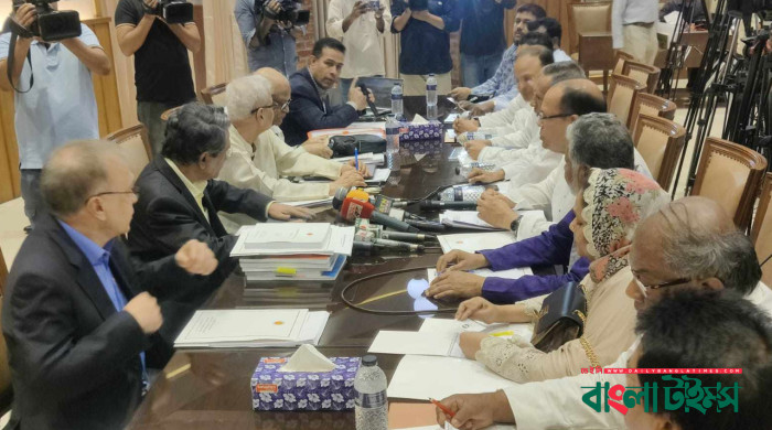 সরকার ও ঐকমত্য কমিশনের সুনির্দিষ্ট এজেন্ডা নেই : আলী রীয়াজ