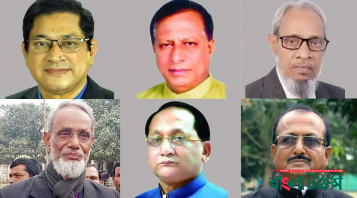 বিএনপির ৬ আসনে বিজয়ী হলেন যাঁরা
