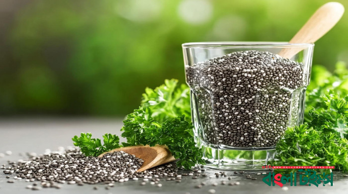 কীভাবে খাবেন চিয়া সিড?