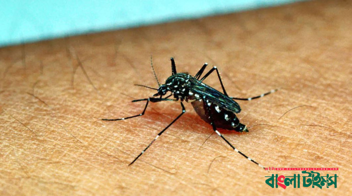 ডেঙ্গু আক্রান্ত হয়ে ৫ জন হাসপাতালে ভর্তি