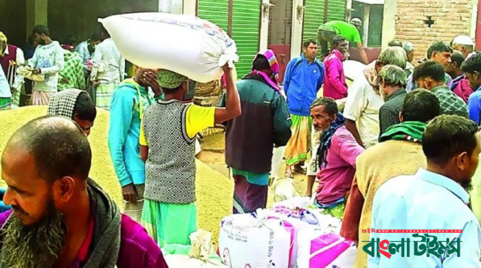 আমনের দাম নিয়ে দুশ্চিন্তায় কৃষক, উৎপাদন খরচ উঠছে না
