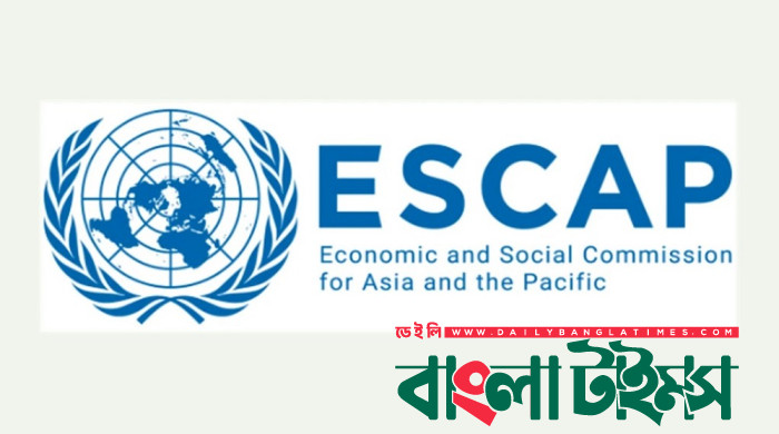 জাতিসংঘের দুটি আঞ্চলিক সংস্থায় সদস্যপদ অর্জন করলো বাংলাদেশ